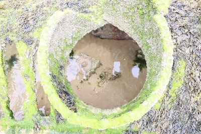 Aberlady Submarine