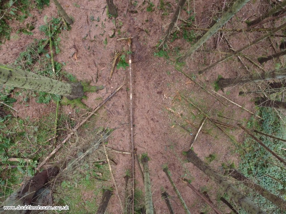 looking down at clearing in trees