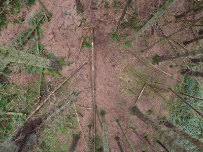 looking down at clearing in trees