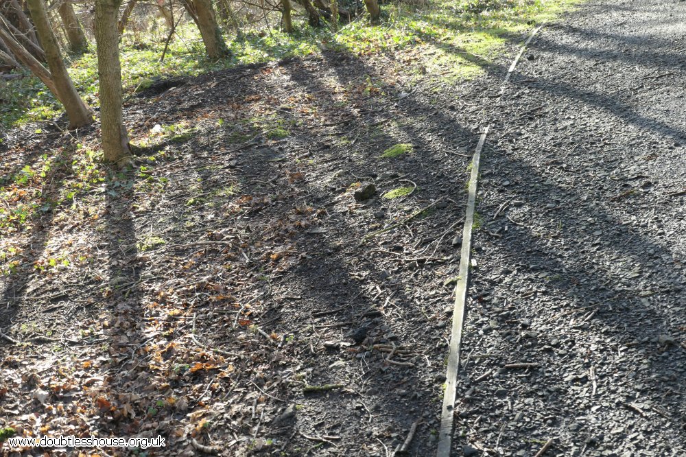 trees casting a shadow on mud and path