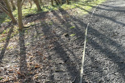 trees casting a shadow on mud and path