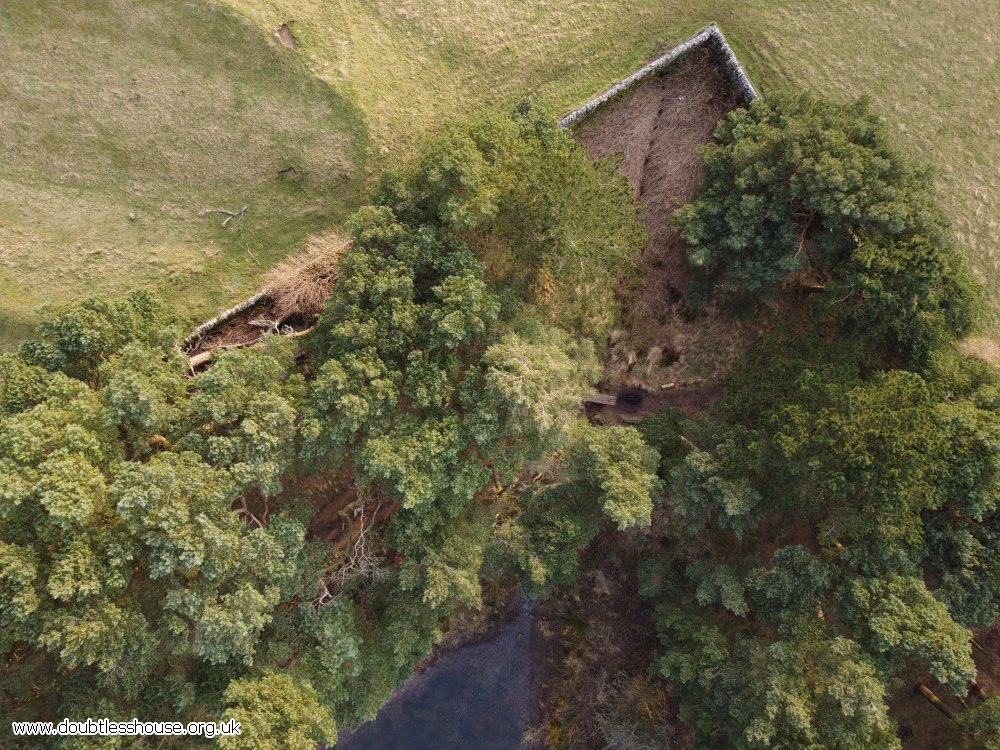 from above, corner of water, trees, wall and grass