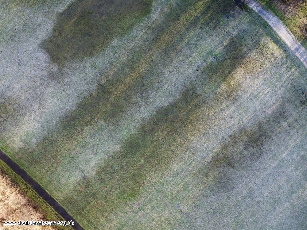 grass with frost and shadow of trees on, path and trees in corner of photo