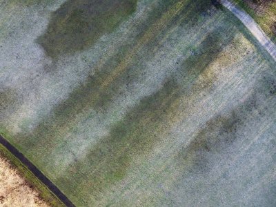 grass with frost and shadow of trees on, path and trees in corner of photo