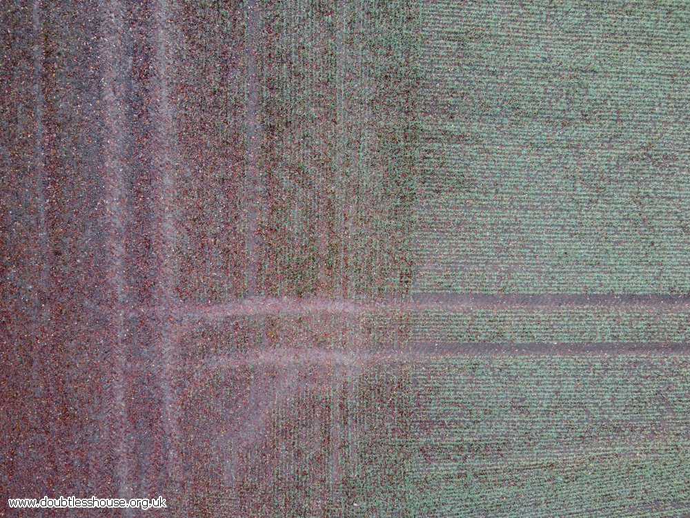 green crop field from above with lines in. One half is covered in red leaves.