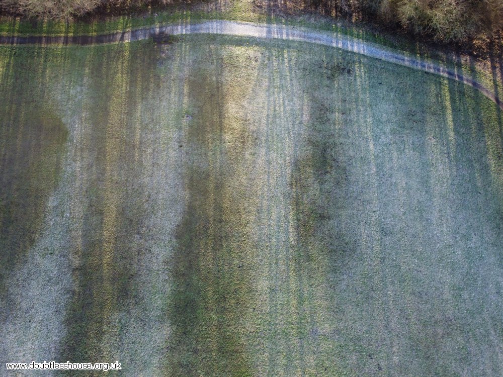 grass with frost and shadow of trees on, path at top