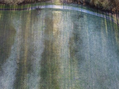 grass with frost and shadow of trees on, path at top