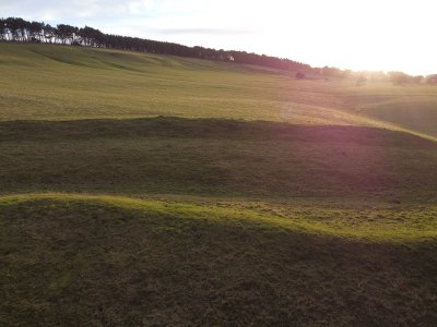 Sun over grass, trees in background