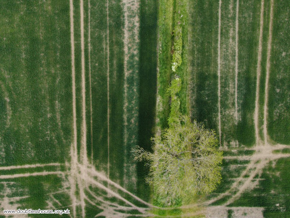 Photo from above of green field with tractor lines and tree & hedge running down middle 