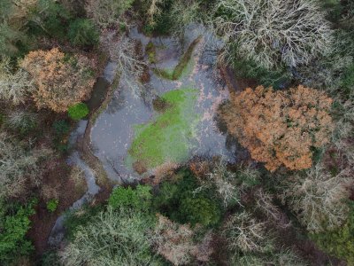 Pond in woods from above, poets glen