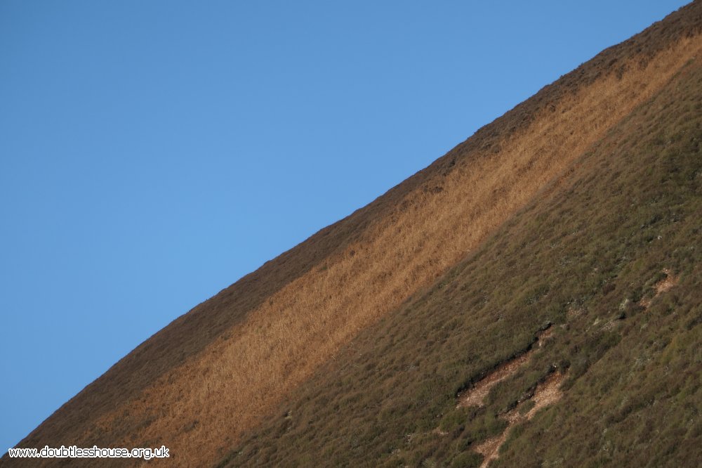 hillside and sky