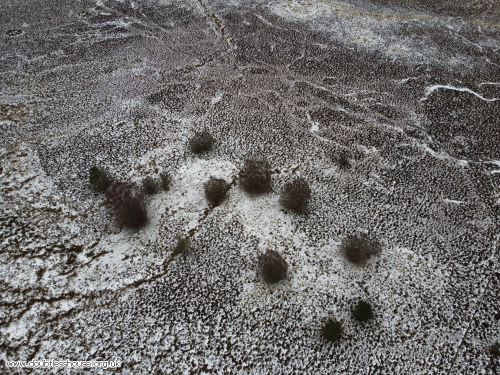 drone photo of snowy ground with a few paths across it highlighted with snow, and some trees