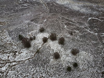 drone photo of snowy ground with a few paths across it highlighted with snow, and some trees