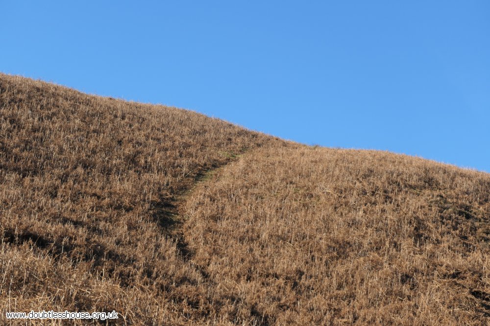 hillside and sky