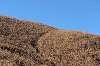 hillside and sky