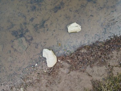 2 rocks on shore line from above