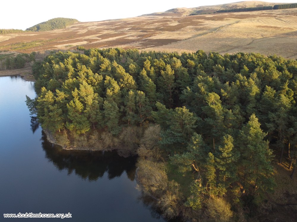 Side of reservoir, trees, hill in background