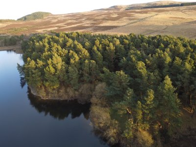 Side of reservoir, trees, hill in background