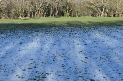 snow on grass, trees and park bench in background